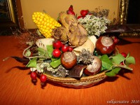 /album/fotogaleria/jesenny-kosik-zboku-jpg/